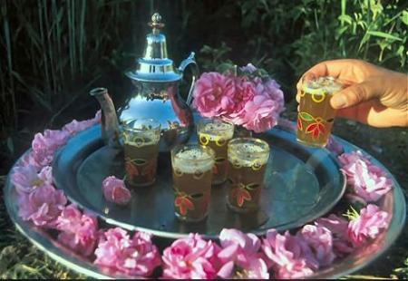 �������� ��������� 