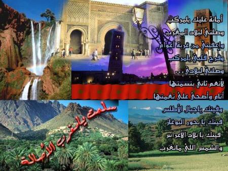 ����� ������ ������ ��������